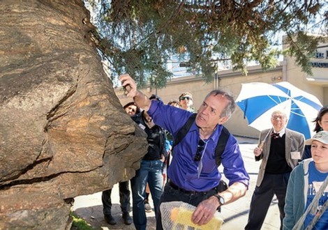 Geology Walk and Talk